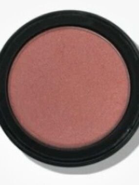 CINNAMON ROSE BLUSH - RARE FIND FROM PROFESSIONAL MAKEUP ARTIST COUNTER!!!